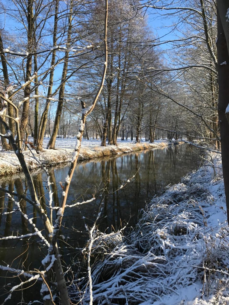 Ferienwohnungen Direkt Am Wasser ブルク エクステリア 写真